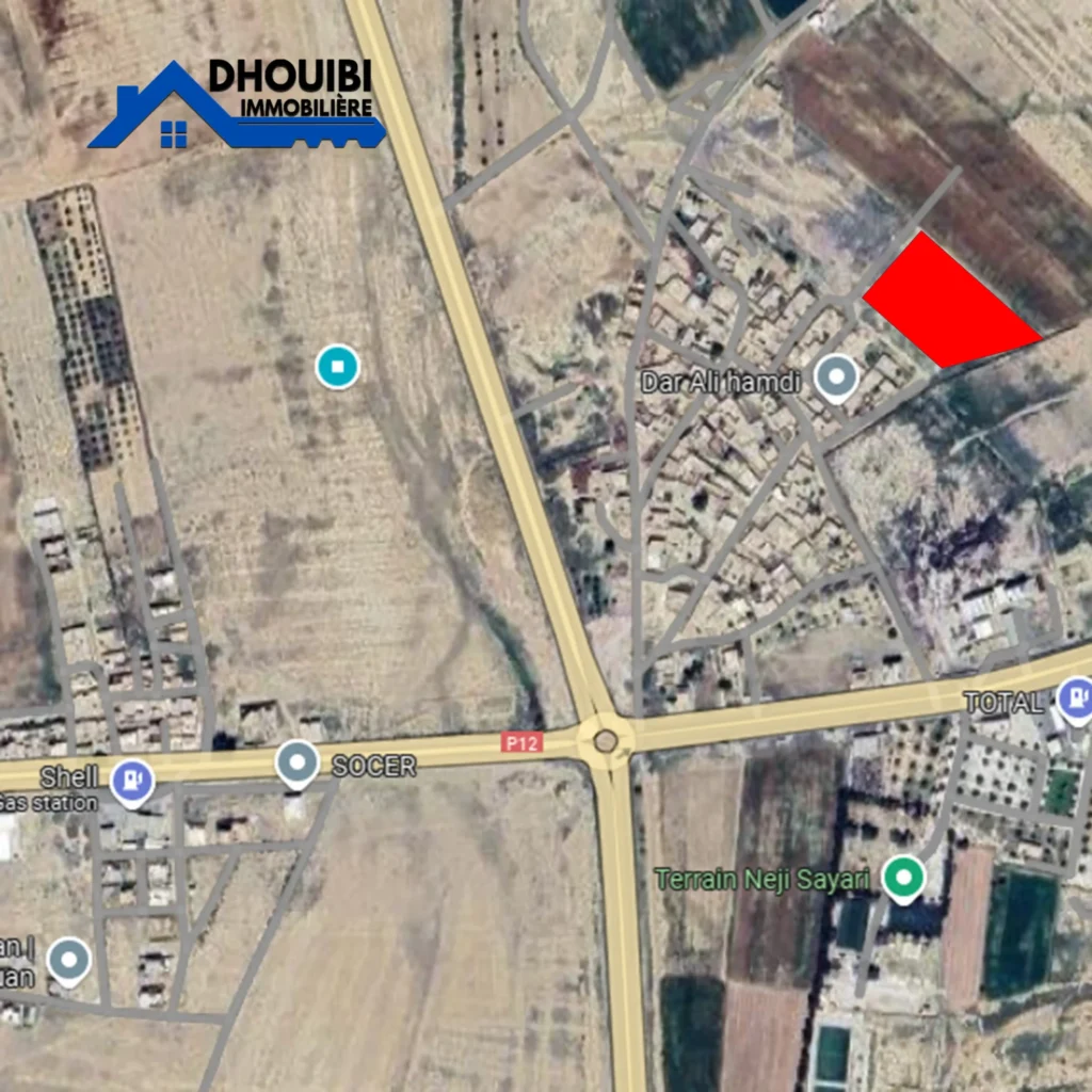 Tunisie Immobilier Terrain Agricole A Vendre Kairouan