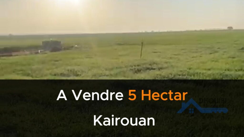 Terrain Agricole A Vendre Sousse - Tunisie 3