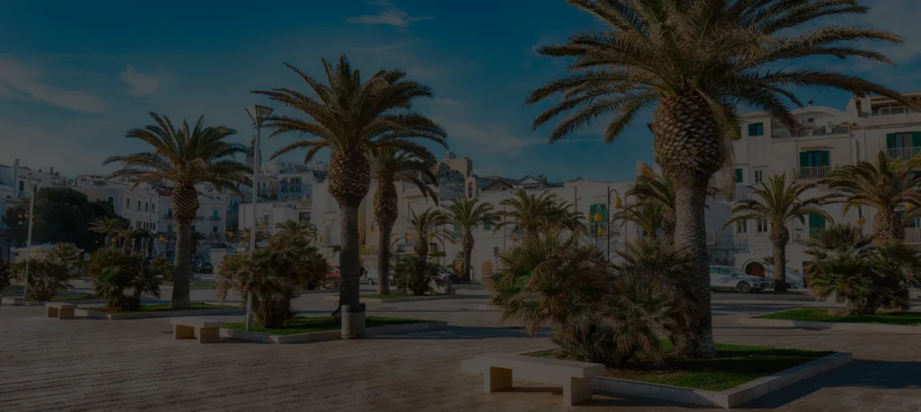 Agence Immobilière En Ligne - Tunisie Immobilier 6