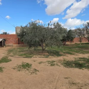 Tunisie Immobilier Immobilier Kairouan 12