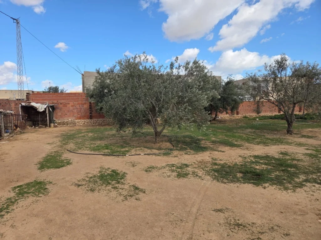 Contrat de vente voiture en Tunisie