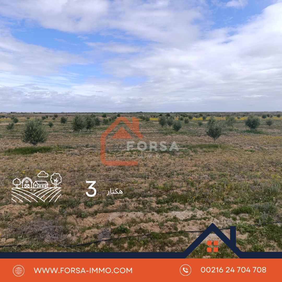 3 hectart a kairouan - 2