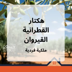 هكتار للبيع بالقطرانية – القيروان