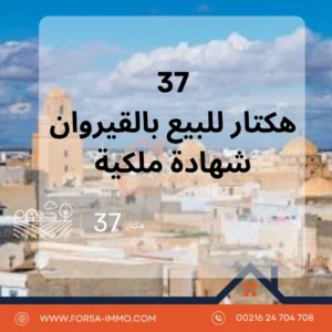 37 Hectar terrain agricole a vendre a kairouan