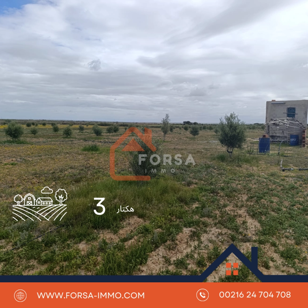 3 hectart a kairouan - 1