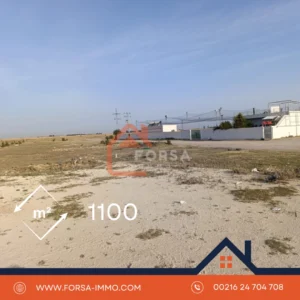 1100 m a zarbya a kairouan
