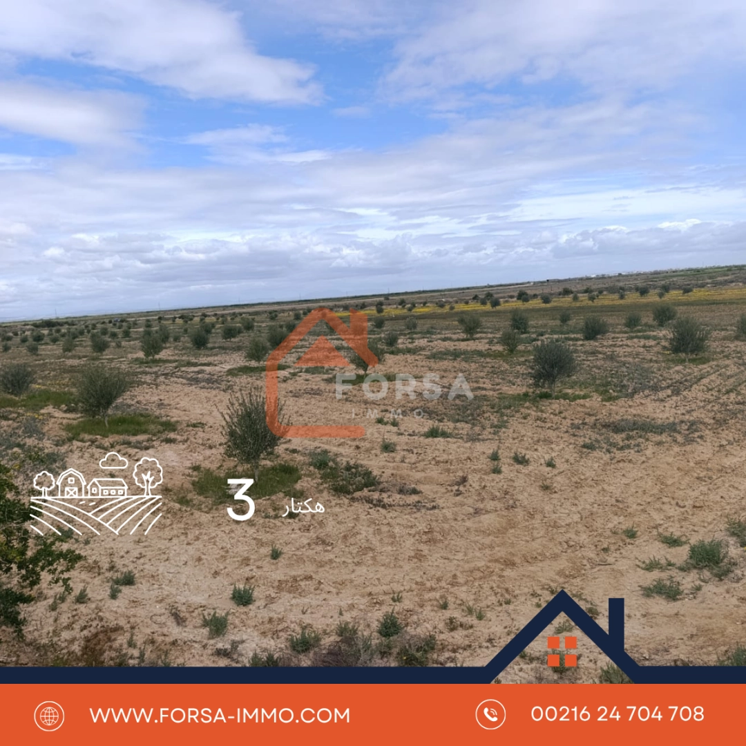 3 hectart a kairouan - 3
