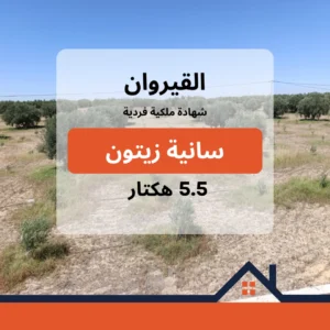 سانية زيتون للبيع بالقيروان 5 هك