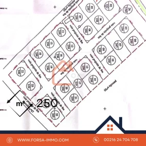 Où habiter à Kairouan ? Le guide des quartiers et délégations