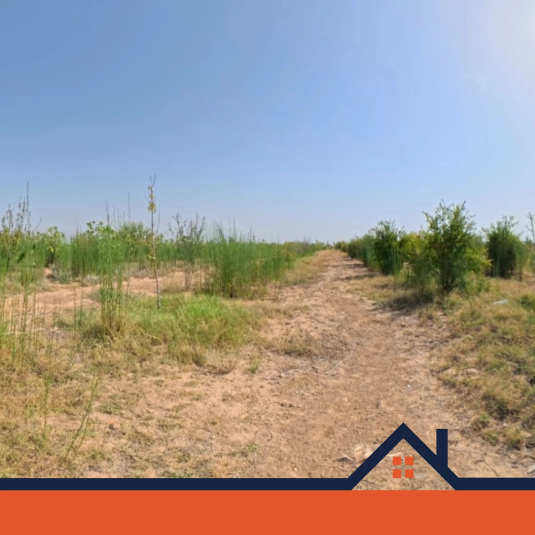 سانية للبيع بالقطرانية – القيروان - 1